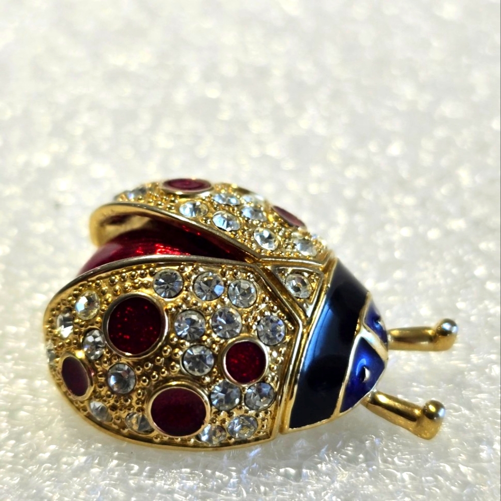 Lady bug brooch